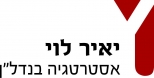 יאיר לוי אסטרטגיה