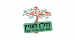 נדלן לעניין