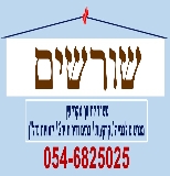 שורשים נדל"ן