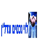 לוי נכסים ונדל"ן