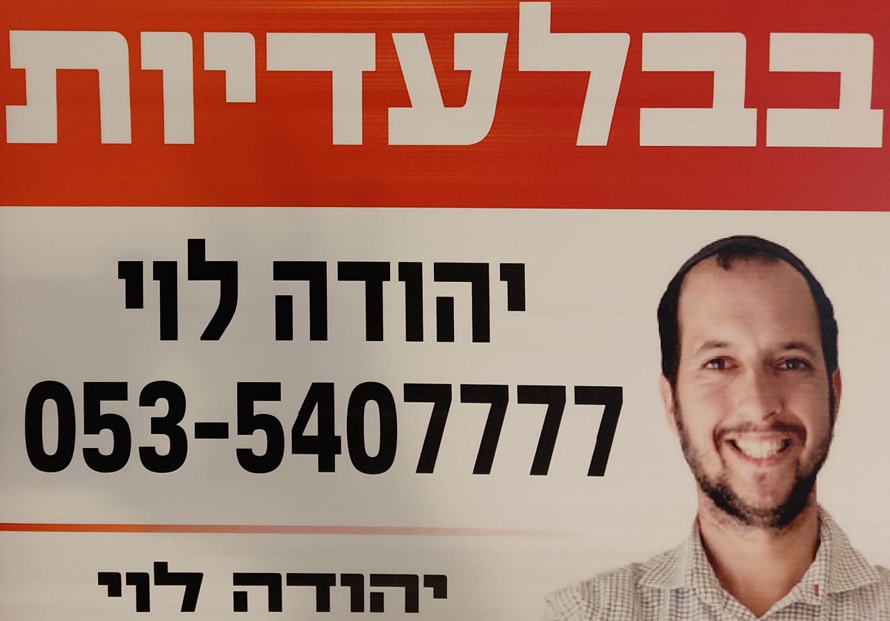 יהודה לוי