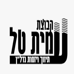 קבוצת עמית טל