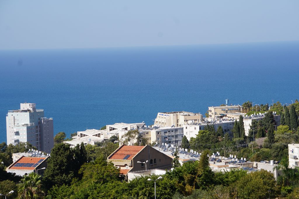גלה נכסים