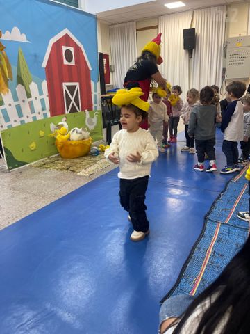 רנו קנגו