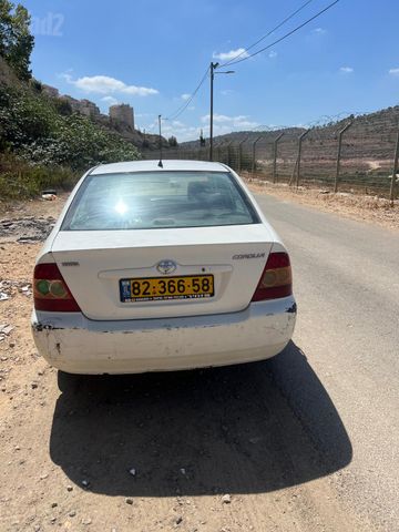 טויוטה קורולה