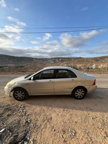 טויוטה קורולה