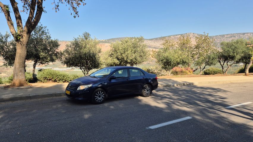 טויוטה קורולה