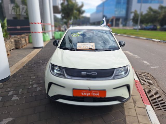בי.ווי.די דולפין