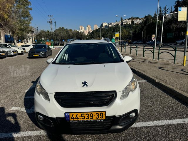 פיג'ו 2008