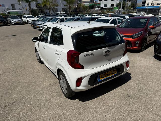 קיה פיקנטו