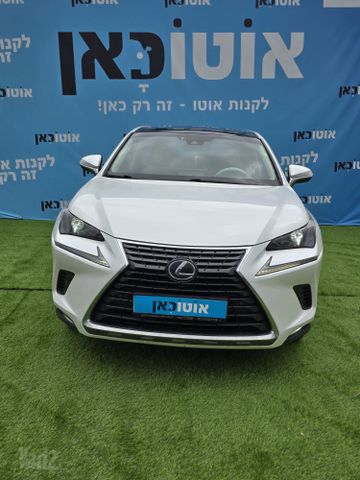 לקסוס NX