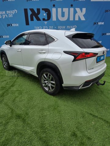 לקסוס NX