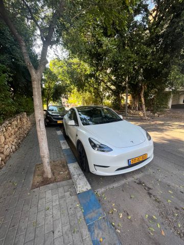 טסלה מודל Y