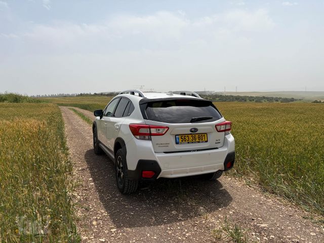סובארו XV
