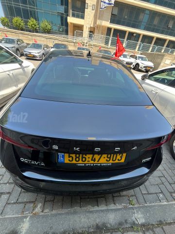 סקודה אוקטביה
