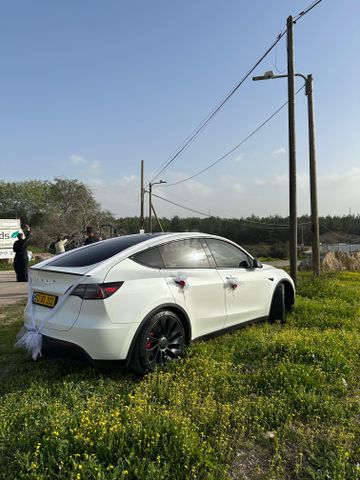 טסלה מודל Y