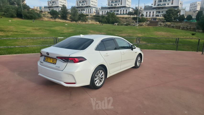טויוטה קורולה