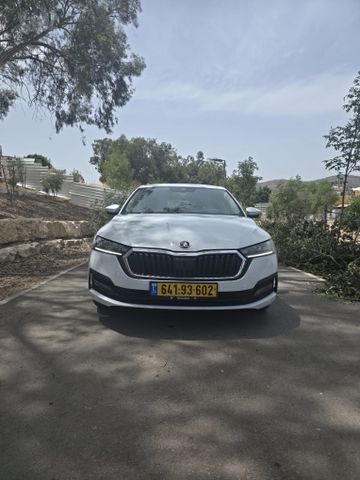 סקודה אוקטביה