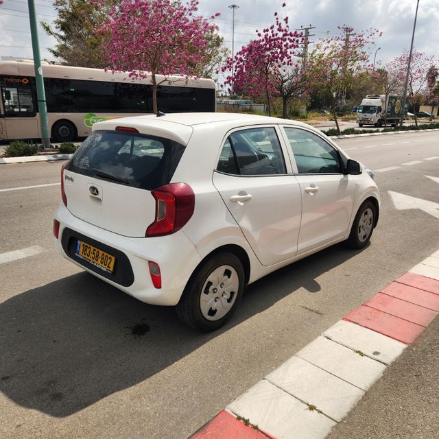 קיה פיקנטו