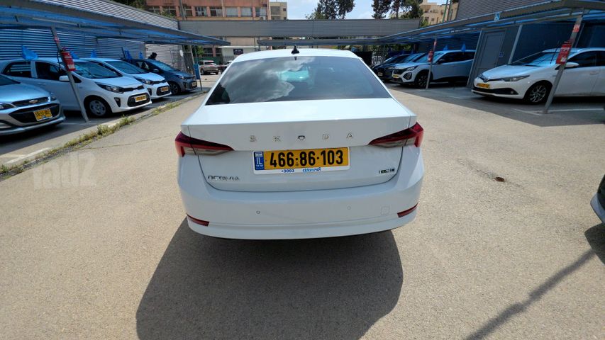 סקודה אוקטביה