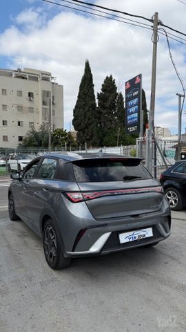 בי.ווי.די דולפין
