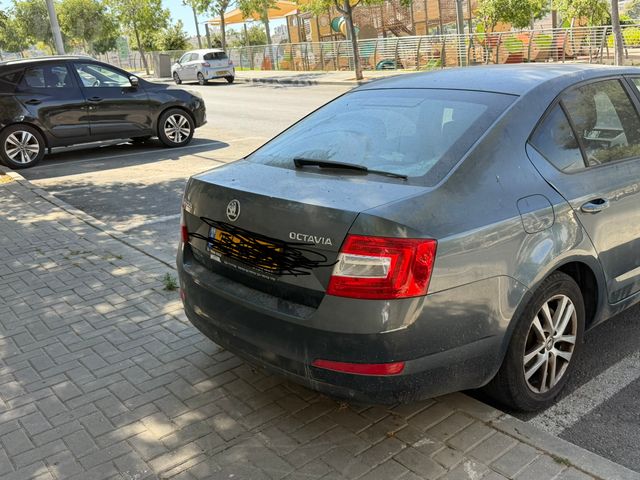 מודעת רכב סקודה אוקטביה 
