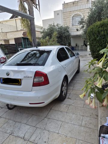 סקודה אוקטביה