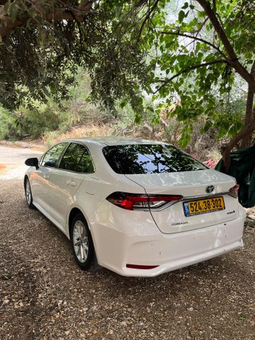 טויוטה קורולה