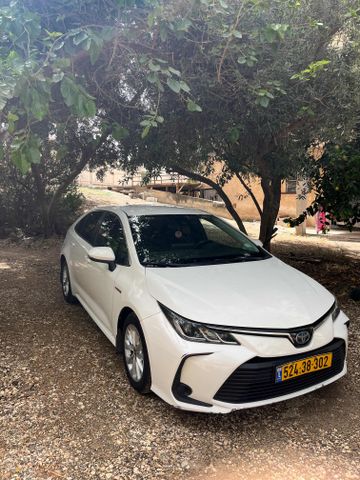 טויוטה קורולה