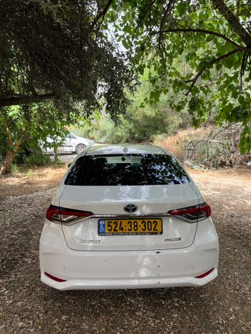 טויוטה קורולה