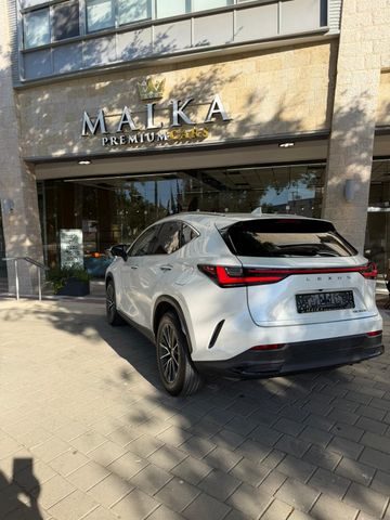 לקסוס NX