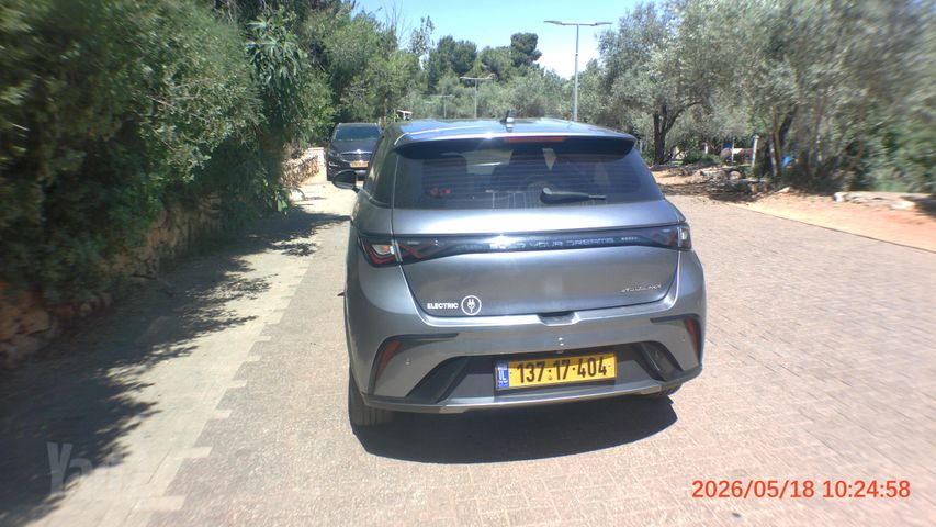 בי.ווי.די דולפין