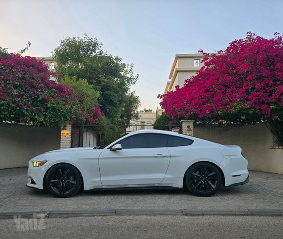 מודעת רכב פורד מוסטנג