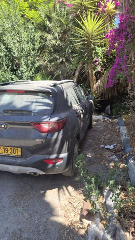 קיה סטוניק
