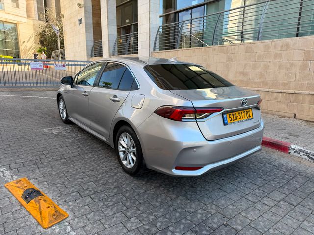 טויוטה קורולה