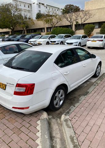 סקודה אוקטביה