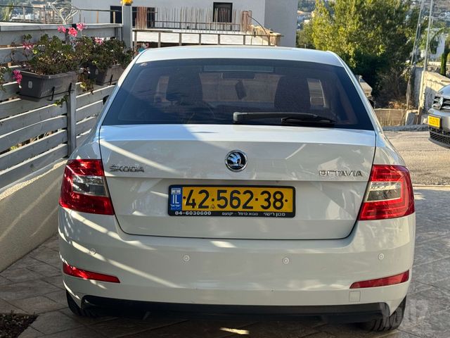סקודה אוקטביה