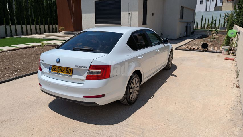 סקודה אוקטביה