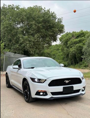 פורד מוסטנג