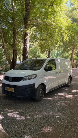 פיאט סקודו