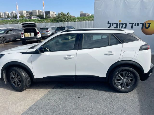 פיג'ו 2008
