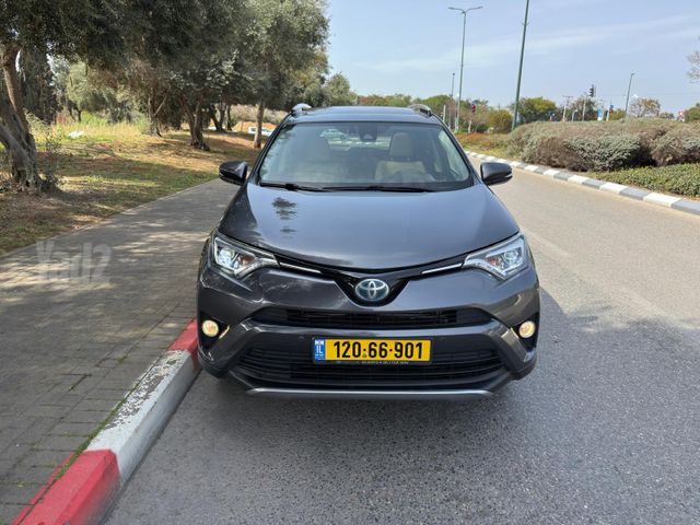 טויוטה RAV4
