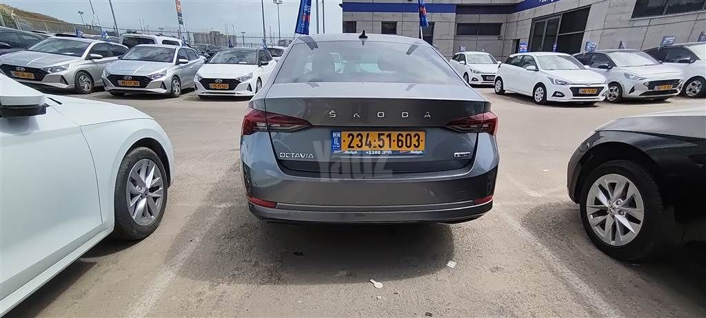 סקודה אוקטביה 