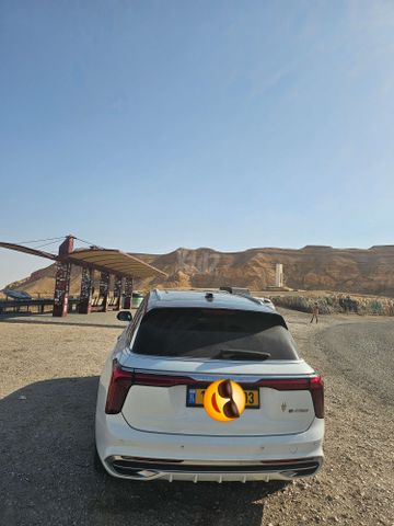 הונגצ'י E-HS9