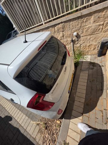 קיה פיקנטו