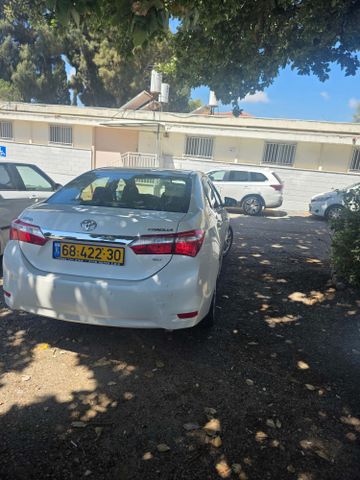 טויוטה קורולה