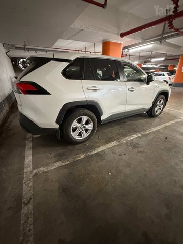 טויוטה RAV4