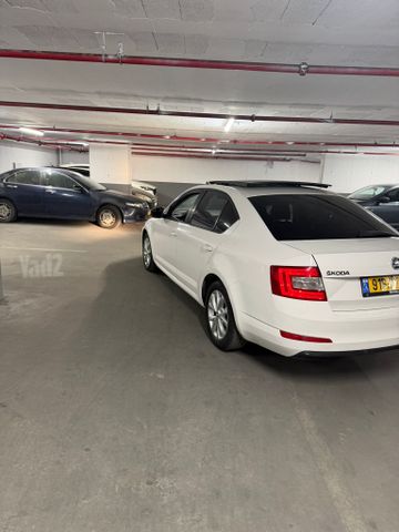 סקודה אוקטביה 