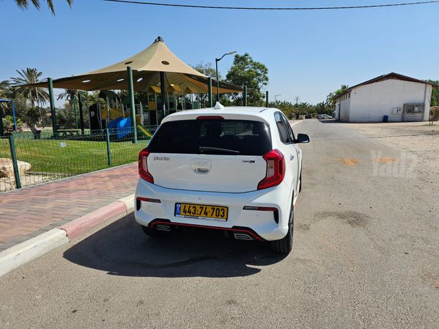 קיה פיקנטו