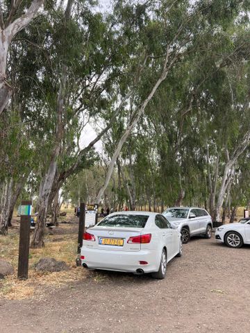 לקסוס IS